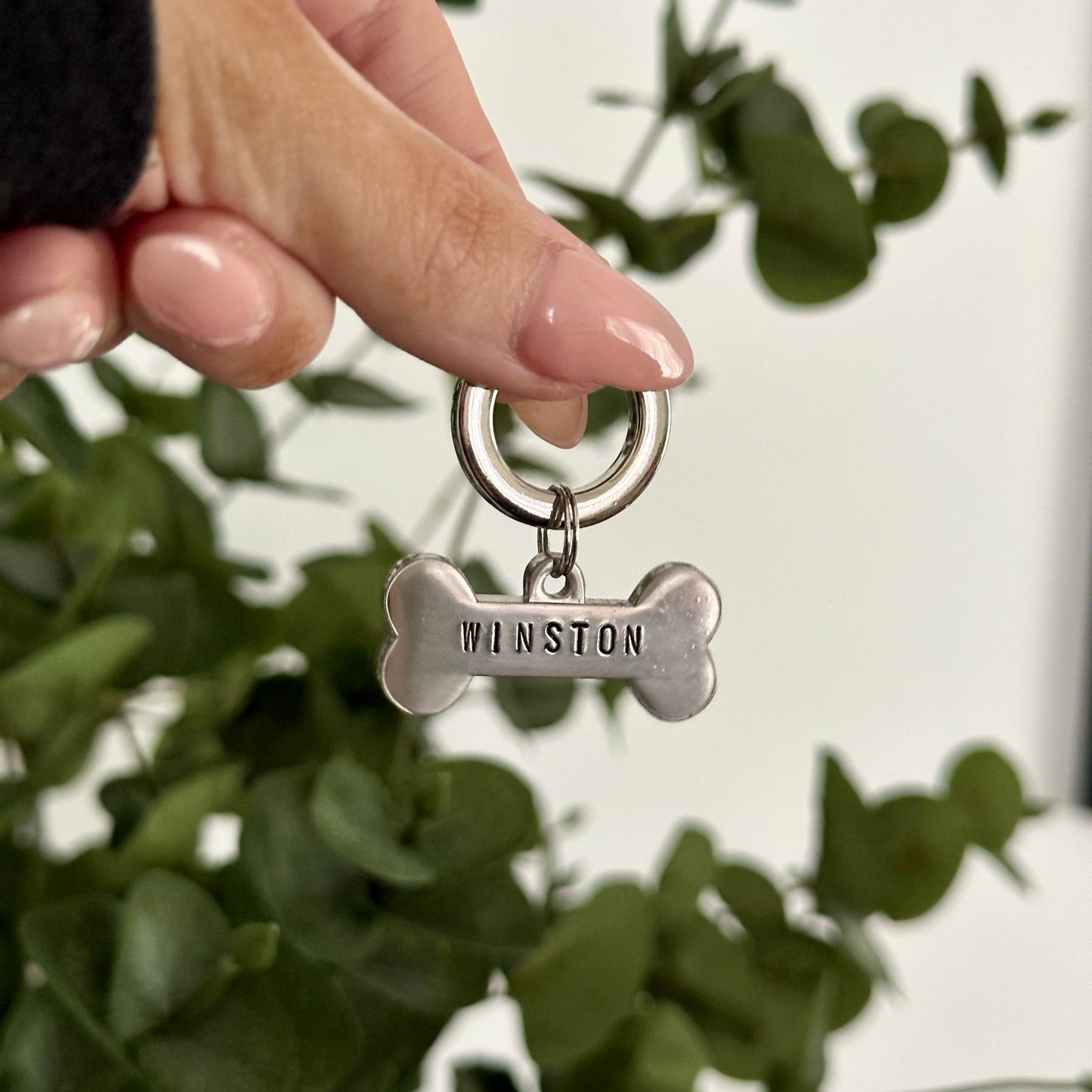 Bone Tag