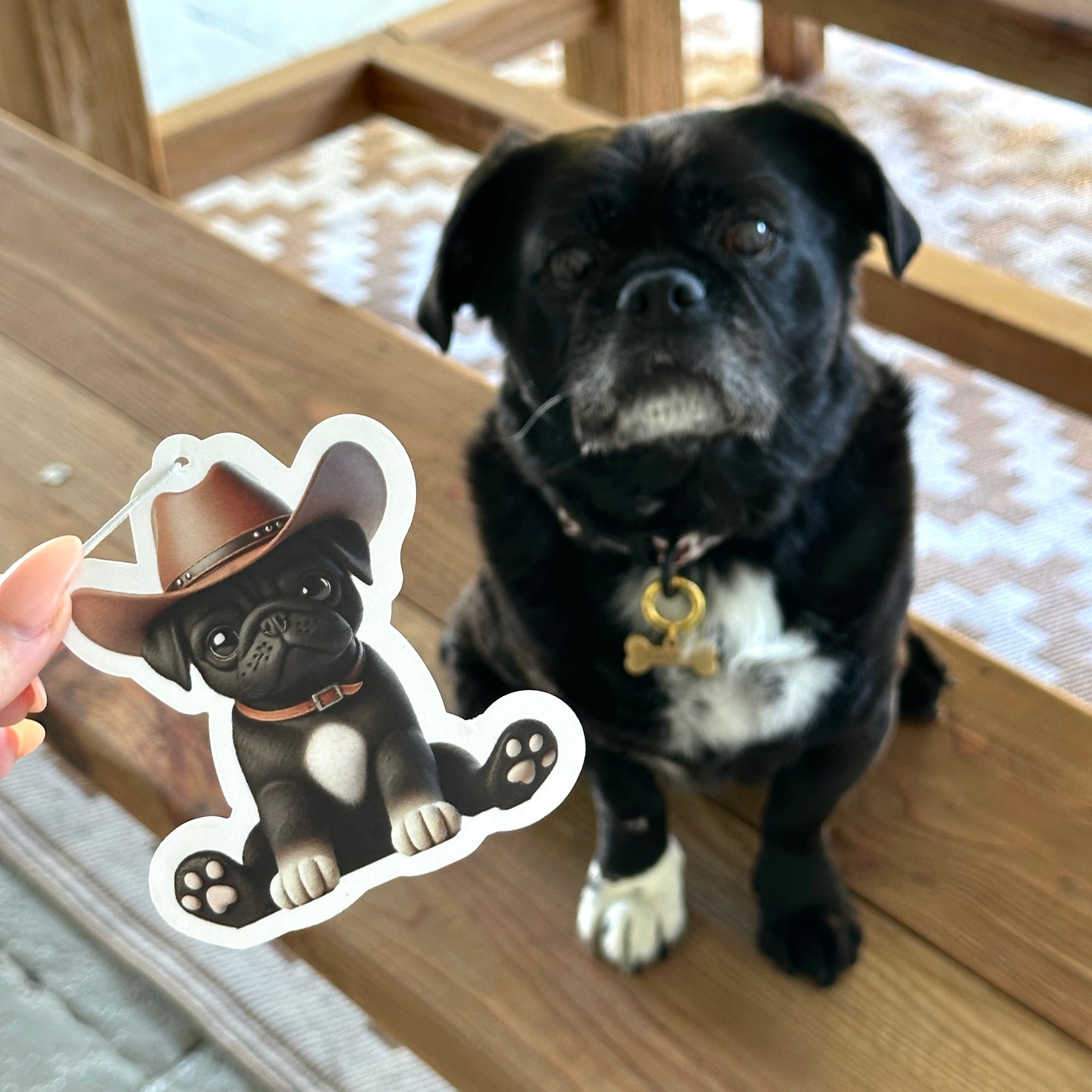 Pug Air Freshener